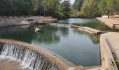 Randonnée Marche Sillans-la-Cascade - 23-10-2022 Sillans La Cascade - Croix de Solliès - Salernes - Photo 3