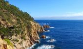 Excursión Senderismo Tossa de Mar - Wikiloc - Tossa de Mar: Camins de Ronda, Ermita Mª Déu de Gràcia, Puig Nau, Torre Moros, Miradors Es Cards i Muralles de la Vila Vella - Photo 1