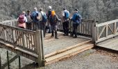 Excursión Senderismo Lapleau - passerelle  1 - Photo 4