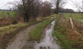 Tocht Stappen Glabbeek - Bunsbeek - Photo 11