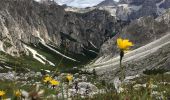 Tour Zu Fuß Auronzo di Cadore - IT-119 - Photo 6