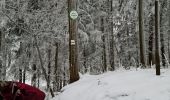 Trail Walking Gueberschwihr - Les Marcheurs...et la fondue..26/01/2024 - Photo 18