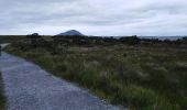 Trail Walking Conamara Municipal District - connemara national park - diamond hill - Photo 19