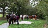 Trail Horseback riding Aubigny-Les Clouzeaux - Boucle Ste Flaive  - Photo 2