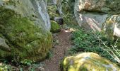 Randonnée Marche Fontainebleau - Fontainebleau sentier Denecourt 10 - Photo 3