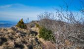 Tour Wandern Saou - Forêt de Saoû - Les Pomerolles - Photo 11