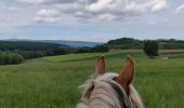Trail Horseback riding Mollkirch - 2019-05-26 Balade Fête des mères - Photo 2