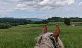 Tour Reiten Mollkirch - 2019-05-26 Balade Fête des mères - Photo 2