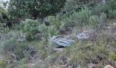 Tour Wandern La Roquebrussanne - Jas d'Agnis au départ de la Roquebrussanne par le vallon de Valescure - Photo 3