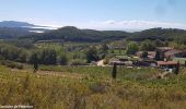 Tour Wandern La Cadière-d'Azur - Dans les vignes autour de la Cadiere - Photo 4