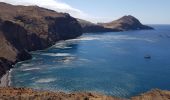 Trail Walking Caniçal - Presqu'île de Sao Lourenço - Photo 11