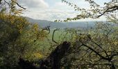 Tour Wandern Houyet - Houyet - Photo 10