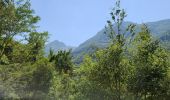 Trail Walking Esquièze-Sère - luz Saint saveur - Photo 11