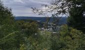 Trail Walking Bouillon - Curfoz- moulin de l'épine-Curfoz - Photo 3