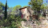 Randonnée Marche Beaurecueil - Le tour des trois  barrages - Bibemus -Vallon du Marbre - Photo 18