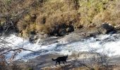 Trail Walking Burlats - Burlats cascade de la truite - Photo 3