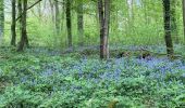 Tour Wandern Gerpinnes - En avril  - Photo 3