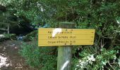 Tour Wandern Gavarnie-Gèdre - cirque érèts lits - Photo 1