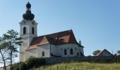 Tocht Te voet Gemeinde Zöbern - Zöbern - Zöberner Au - Heißenberg - Winkelbauer - Photo 2