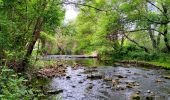 Trail Walking Sainte-Anastasie-sur-Issole - SityTrail - 83 St Quinis grotte  chapelle  - Photo 12