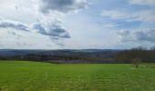 Randonnée Marche La Roche-en-Ardenne - Samree 190324 - Photo 14