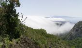 Tocht Stappen San Sebastián de la Gomera - La Laja Saint Sébastien de la Gomera - Photo 1