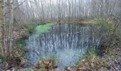 Tour Wandern Elbeuf - rando Elbeuf-sur-Seine 