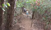 Trail Walking La Valette-du-Var - Fort Faron-14-10-22 - Photo 2