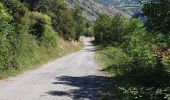 Randonnée Marche La Roche-des-Arnauds - Serigons - Rabou par petit Buëch  - Photo 15