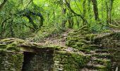 Trail Walking Pernand-Vergelesses - 01 05 22 les cabottes - Photo 8