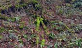 Tocht Stappen Comblain-au-Pont - autour d Oneux  - Photo 7
