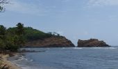 Tour Wandern La Trinité - cosmy- anse Richer-anse Lahoussaye-Etoile- anse Azerot-Cosmy - Photo 5