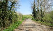 Randonnée A pied North Norfolk - Cley Spy Circular Bird Walk - Photo 5