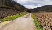 Randonnée Marche Viroinval - Les pelouses calcicoles  - Photo 4