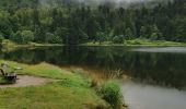 Trail Walking La Bresse - boucle col des feignes, lac de la lande, lac de blanchemer, rainkopft - Photo 4