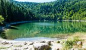 Tour Wandern Woll - SityTrail - Le Lac des Corbeaux - La Bresse - Photo 5