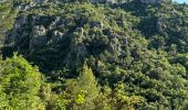 Trail Walking Le Bar-sur-Loup - Callivore2 - Photo 5