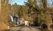 Tocht Stappen Wellin - Randonnée Wellin, forêt St.Hubert  - Photo 17