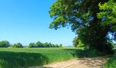 Randonnée Marche Villers-le-Bouillet - Vieux-Waleffe . Dreye . Pitet . Fallais . Vieux-Waleffe - Photo 2