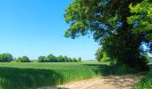 Excursión Senderismo Villers-le-Bouillet - Vieux-Waleffe . Dreye . Pitet . Fallais . Vieux-Waleffe - Photo 2