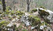 Tocht Stappen Mazaugues - Vallon des cerisiers Mazaugues La Roque - Photo 2