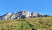 Excursión Senderismo Mont-Saxonnex - Col de Cenise et plateau de Solaison - Photo 1