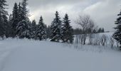 Trail Snowshoes Châtelblanc - maison michaud - Photo 3