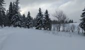 Tour Schneeschuhwandern Châtelblanc - maison michaud - Photo 3