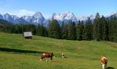 Tour Zu Fuß Vorderstoder - Wildererweg - Photo 1