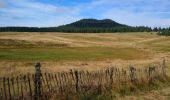 Excursión Senderismo Besse-et-Saint-Anastaise - puy Montchal-Pavin et œuvre horizon 2022  - Photo 5