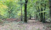 Tocht Stappen Gerpinnes - 100 pc forestier  - Photo 2