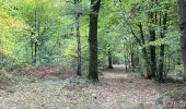 Excursión Senderismo Gerpinnes - 100 pc forestier  - Photo 2