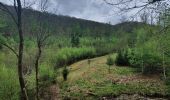 Tocht Stappen Bouillon - rando rochehaut 11 /05/2021 - Photo 15