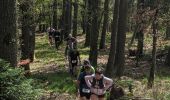 Tour Pfad Dambach - 2023-05-01 Course Trail Tous au Bernstein - Photo 2